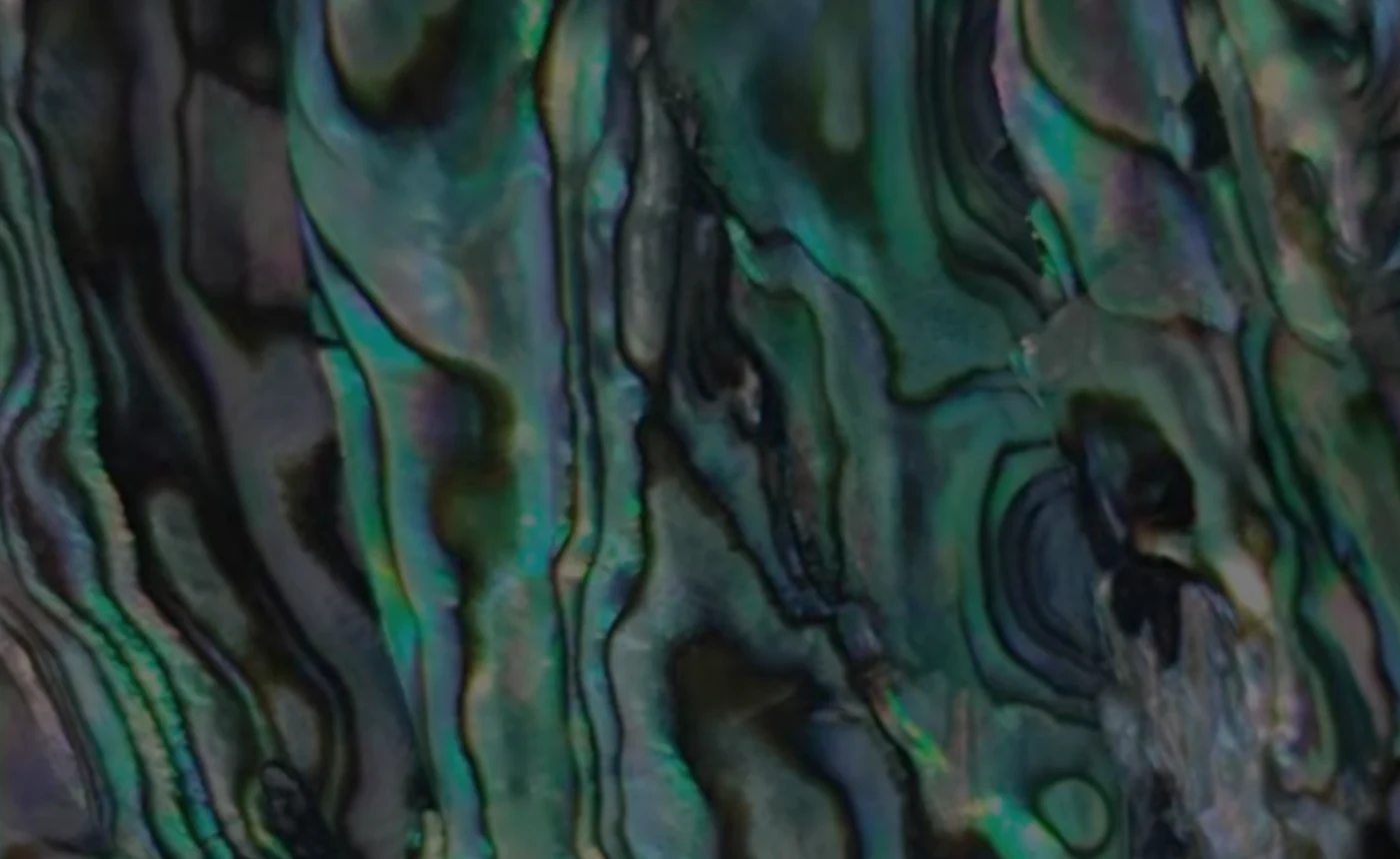 Close-up of an organic blue green LVE finish